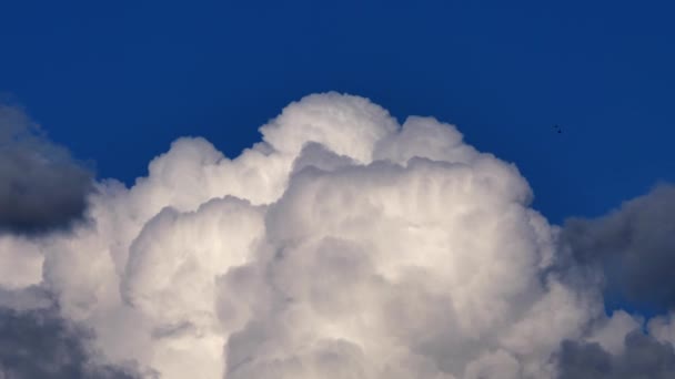 Nuvem Branca Crescendo Tamanho Contra Céu Azul Estática — Vídeo de Stock