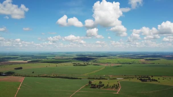 Όμορφη Countryside Μια Καλοκαιρινή Ημέρα High Aerial Καθιέρωση View — Αρχείο Βίντεο