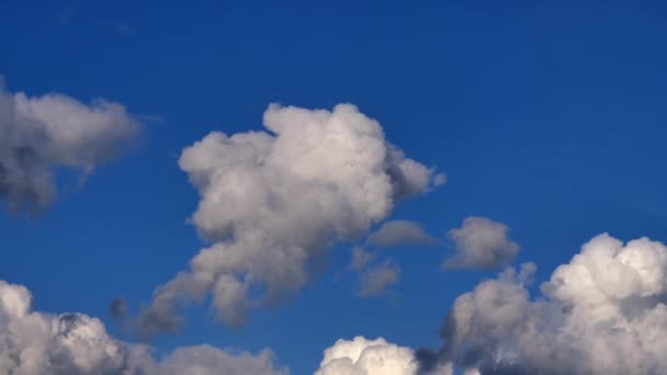 Nuvens Brancas Fofas Contra Fundo Azul Céu — Vídeo de Stock