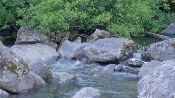 Corriente Pequeña Que Ondea Través Del Lecho Rocoso Del Río — Vídeos de Stock