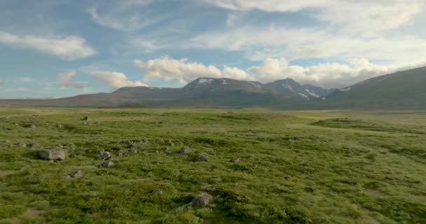 Evergreen Moorlands Jotunheim Valley Kelet Norvégiában Skandináviában Európában Légi Drón — Stock videók