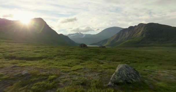 Flying Fields Heather Jotunheim Valley Mountains National Park Norway — Stock Video