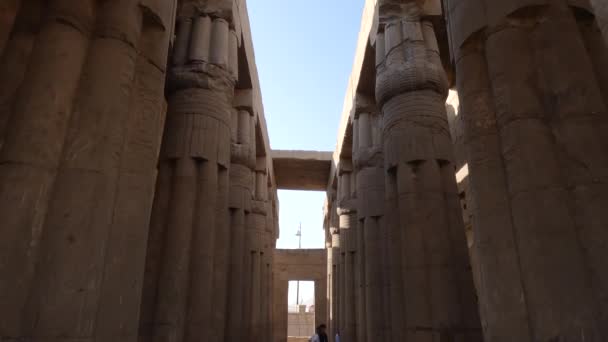 Panning Shot Van Zeer Decoratieve Zuilen Binnen Luxor Temple Egypte — Stockvideo