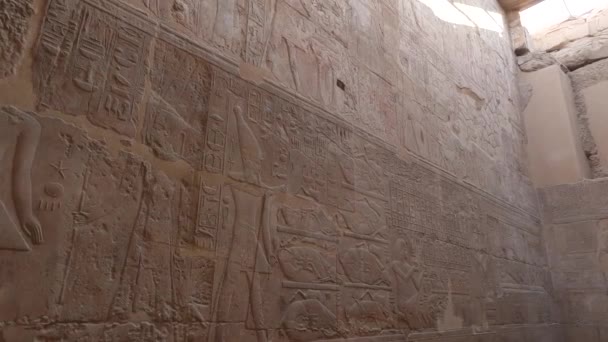 Gros Plan Des Hiéroglyphes Complexes Sur Les Murs Temple Louxor — Video