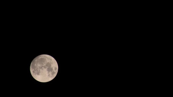 Почти Полная Луна Движется Чистому Черному Небу Времени — стоковое видео