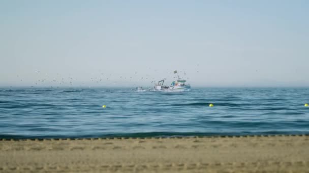 Gabbiani Seguito Peschereccio Prossimità Della Spiaggia Nel Sud Della Spagna — Video Stock