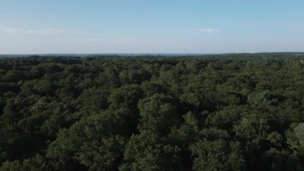 Floresta Broceliande Bretanha França Aeronaves Para Lados Céu Para Espaço — Vídeo de Stock