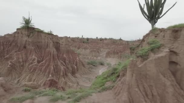 Scenery Barren Terrain Tatacoa Desert Huila Department Colombia Повітряний Дрон — стокове відео