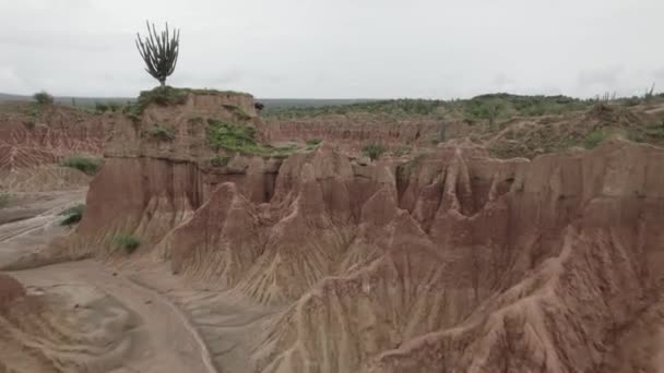 Voando Sobre Deserto Tatacoa Com Cacti Colômbia Antena — Vídeo de Stock