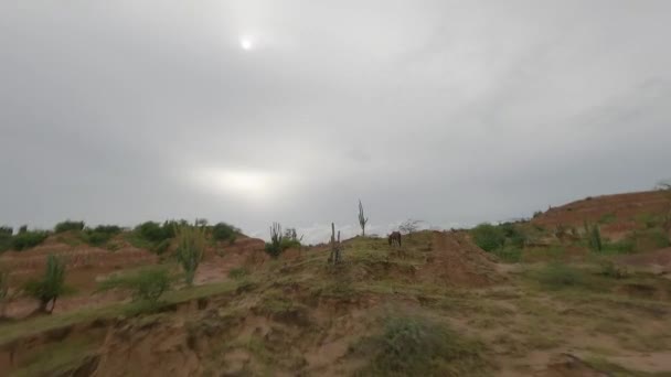 Paesaggio Arido Del Deserto Tatacoa Huila Colombia Fpv Aerea — Video Stock