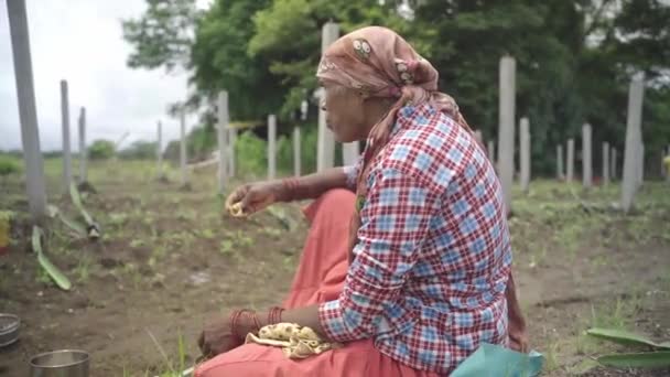 Agricultor Indio Almorzando Medio Tierra Cultivo Después Terminar Primera Mitad — Vídeo de stock