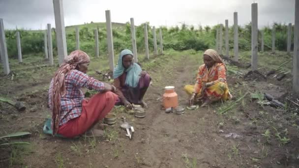 印度女农民在完成龙果种植前半段后在农田中央吃午饭的静态镜头 — 图库视频影像