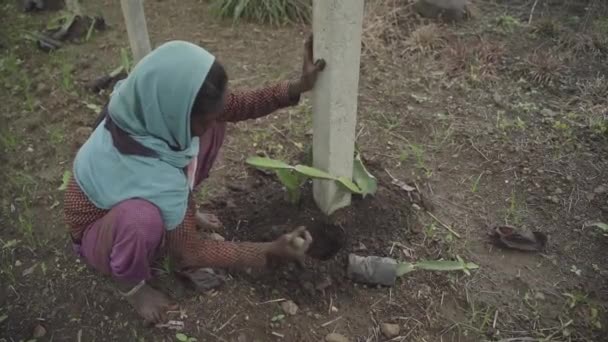 Alto Ángulo Tiro Mujer Agricultora India Excavando Suelo Para Cultivar — Vídeos de Stock