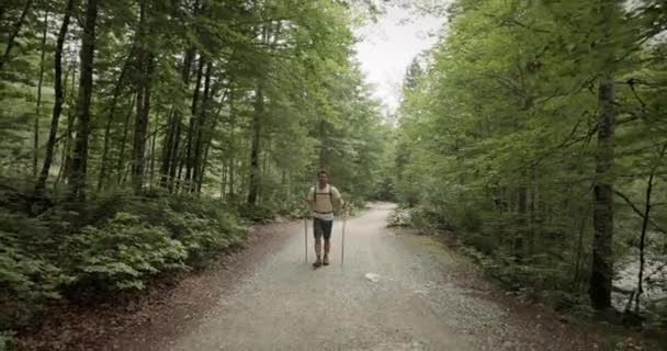 Mladý Turista Kráčející Lesní Pěšině Mezi Rozhodnými Stromy Letní Zataženo — Stock video