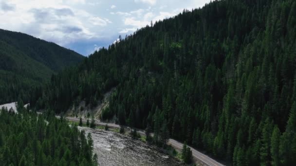 Widok Lotu Pędzącej Rzeki Autostrady Przez Drzewa Iglaste Lolo National — Wideo stockowe
