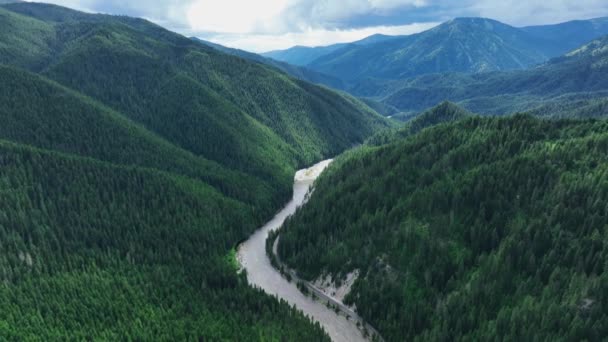 Scénický Pohled Řeku Lochsa Svěží Hory Idaho Usa Letecké Drone — Stock video