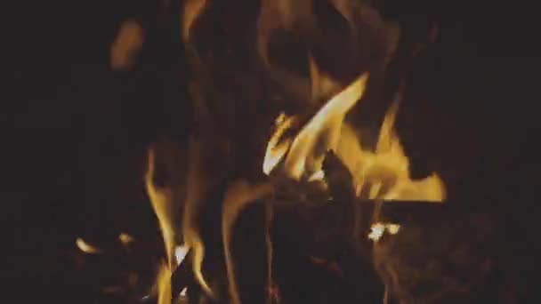 불구덩이에서 불타고 막대기를 다듬고 — 비디오