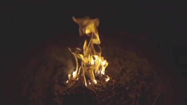 燃烧在火坑中的棒的广角滑块运动射击 — 图库视频影像