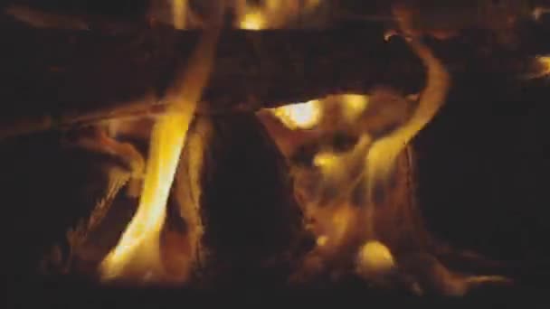 Μακρό Πλάνο Των Κορμών Που Καίγονται Ένα Λάκκο Φωτιά — Αρχείο Βίντεο