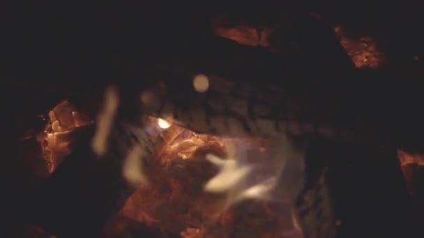 Ateş Çukurunda Yanan Odunların Hareketli Atışları — Stok video