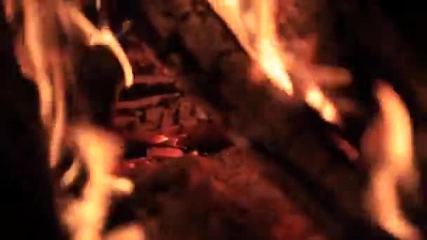 Крупним Планом Знімок Колод Горять Вогняній Ямі — стокове відео