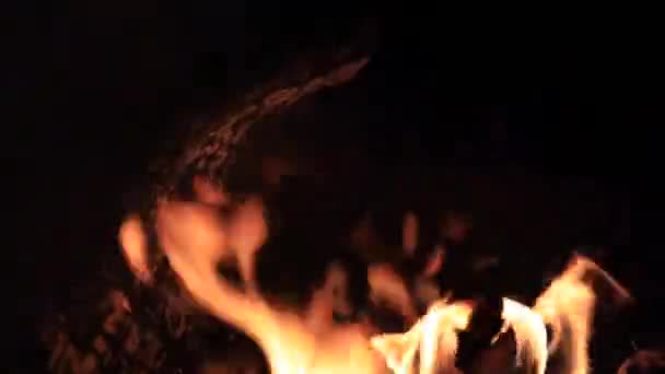 Крупним Планом Знімок Колод Горять Вогняній Ямі — стокове відео