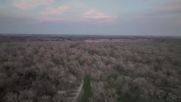 Panoramic View Dense Treetops Lake Wood Recreation Area Ηνωμένες Πολιτείες — Αρχείο Βίντεο