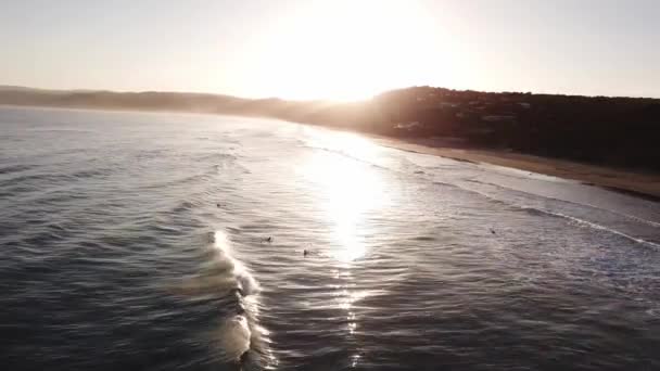 Drone Antenn Stranden Solnedgången Med Surfare Vattnet Försöker Fånga Vågor — Stockvideo