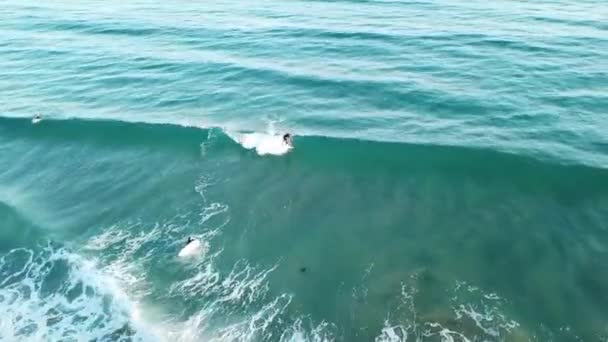 冲浪手的无人机在大海中迎着浪涌上大海 — 图库视频影像