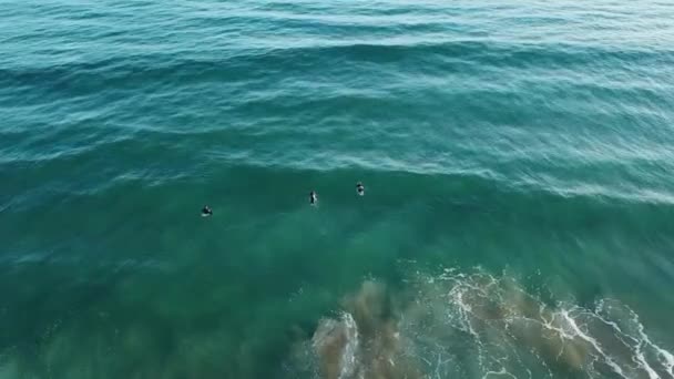 冲浪运动员试图在蓝色的海滨大海路上赶上海浪的鼓队 — 图库视频影像
