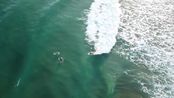 Drone Antenn Surfare Fånga Våg Blått Vatten Great Ocean Road — Stockvideo