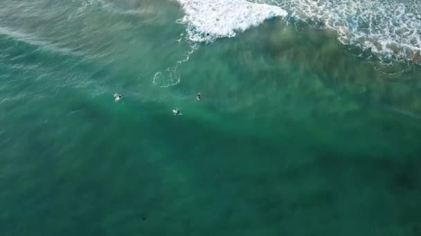 Drone Antenn Great Ocean Road Stranden Med Surfare Blått Vatten — Stockvideo
