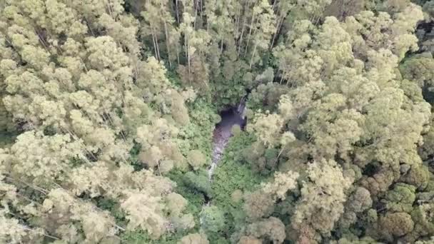 Drone Arial Van Een Waterval Verborgen Een Bos Tussen Bomen — Stockvideo