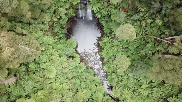 Drone Arial Sobre Cachoeira Subindo Olhando Para Baixo Com Árvores — Vídeo de Stock