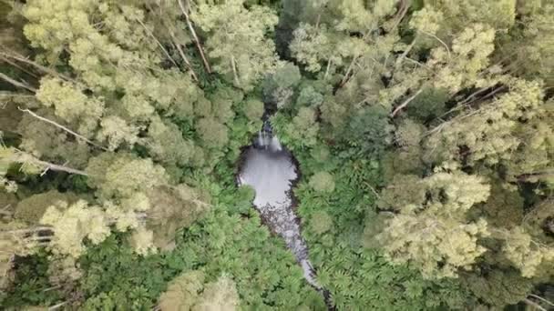 Drone Arial Sobre Cachoeira Subindo Girando Enquanto Olha Para Baixo — Vídeo de Stock