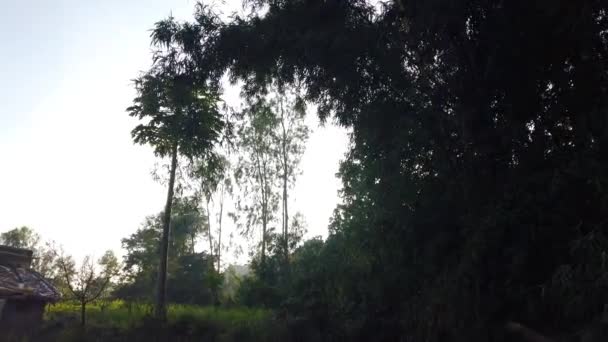 Venkovská Krajina Zelenými Stromy Klidným Rybníkem Indické Maháráštra Panning — Stock video