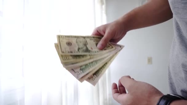 Mãos Contando Jogando Com Dólares Dinheiro — Vídeo de Stock