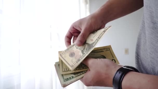 Mãos Contando Dinheiro Dinheiro — Vídeo de Stock