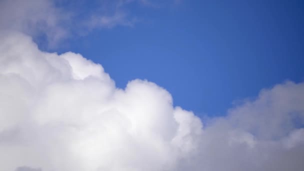Tijdsverloop Van Witte Pluizige Wolken Rollen Door Met Blauwe Lucht — Stockvideo