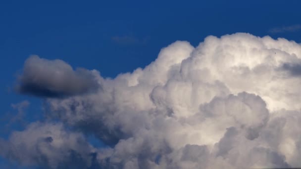 Vista Estática Convecção Nuvens Massa Movimento — Vídeo de Stock