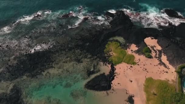 Big Island Skały Wulkaniczne Oceanie — Wideo stockowe