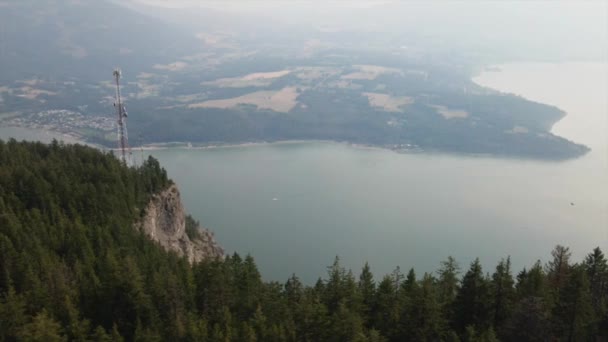 Widok Powietrza Sosen Wieży Radiowej Mglistym Jeziorem Jako Tło Piękne — Wideo stockowe