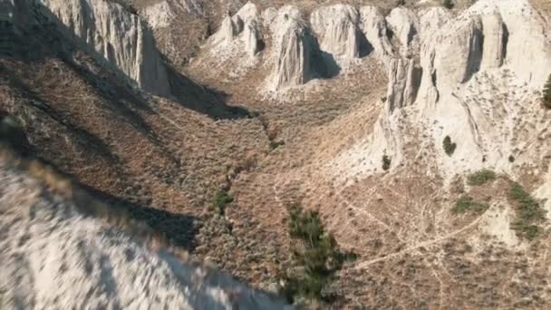 Zbliżenie Powietrza Pięknego Kanionu Pustynną Roślinnością Dnie Pokojowe Nagranie Dronami — Wideo stockowe