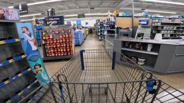 Pov While Pushing Cart Walmart Electronics Home Improvement Automotive Sections — стоковое видео