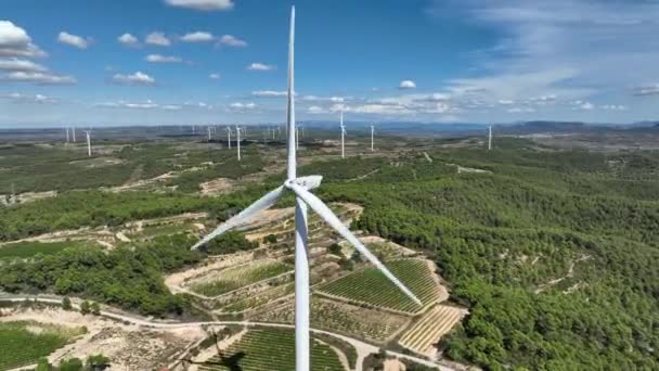 Operando Turbinas Eólicas Com Lâminas Girando Paisagem Rural Natural Coll — Vídeo de Stock