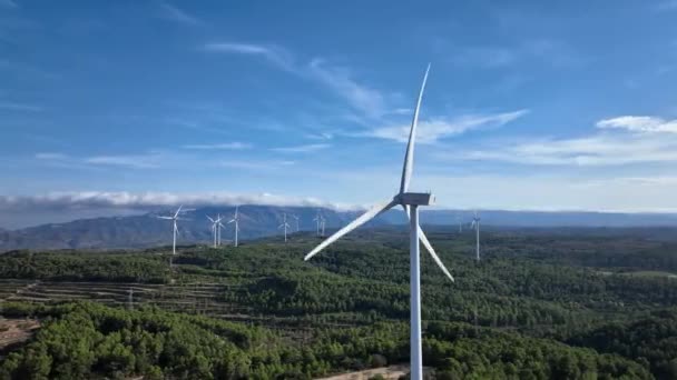 Erstaunlicher Windkraftpark Bergigem Waldgelände Mit Strahlend Blauem Himmel — Stockvideo