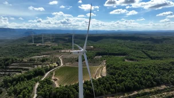 Turbinas Eólicas Com Pás Girando Paisagem Rural Circundante Parque Eólico — Vídeo de Stock