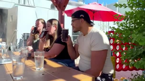 Різноманітні Гоночні Друзі Розслабляються Насолоджуючись Пивом Сонячному Барі Відкритому Повітрі — стокове відео