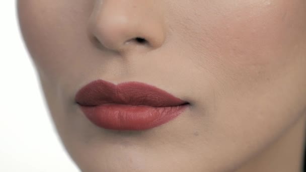 Mulher Bonita Modelagem Cosméticos Maquiagem Produtos Indústria Moda — Vídeo de Stock
