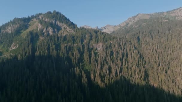 ワシントンのカスケード山脈の麓の木々に覆われた丘に向かって飛んでいる遅い空の映像 — ストック動画